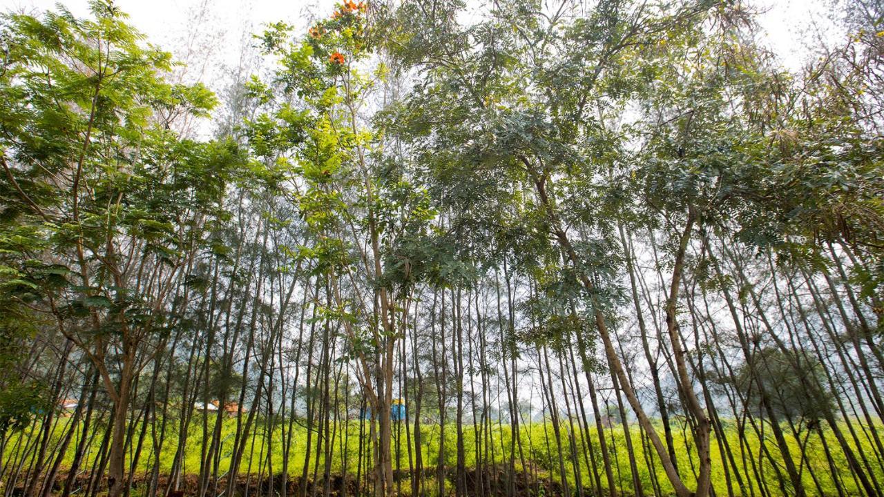 Aara Jungle Resort Coimbatore Bagian luar foto